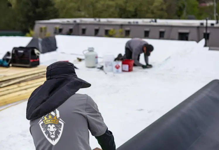 EPDM over TPO overlay, commercial replacement