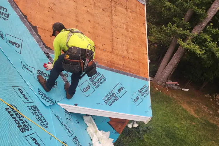 Roof replacement, LionShield Roofing Featured image